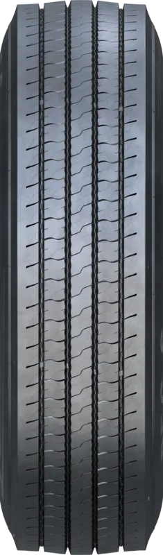 FORZA REG S FORZA REG S